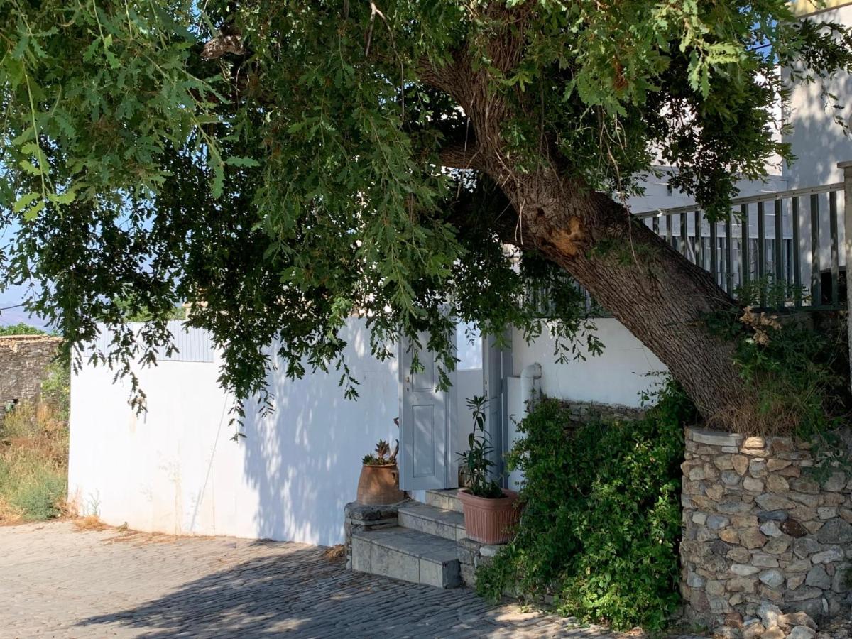 Villa Moeses House Asfendiou Esterno foto